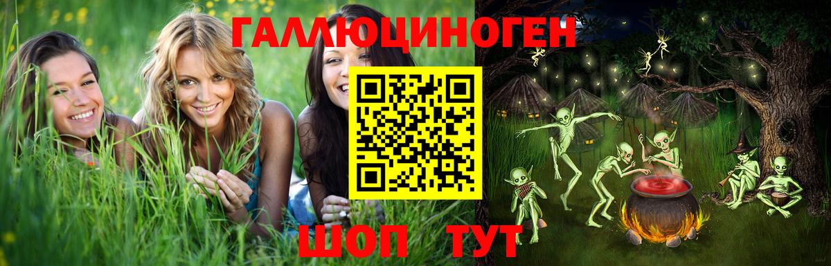 Галлюциногенные грибы Psilocybe Вятские Поляны